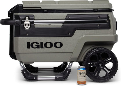 Multifunctional Thermal Cooler for Camping, Beach, and Outings