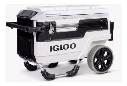 Multifunctional Thermal Cooler for Camping, Beach, and Outings