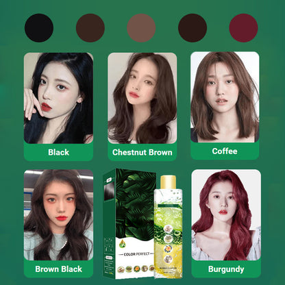 🔥🔥🔥Plant Extract Bubble Hair Dye
